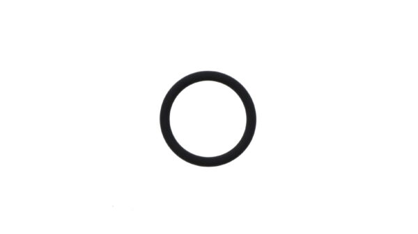 Replacement "O"ring for Log transducer